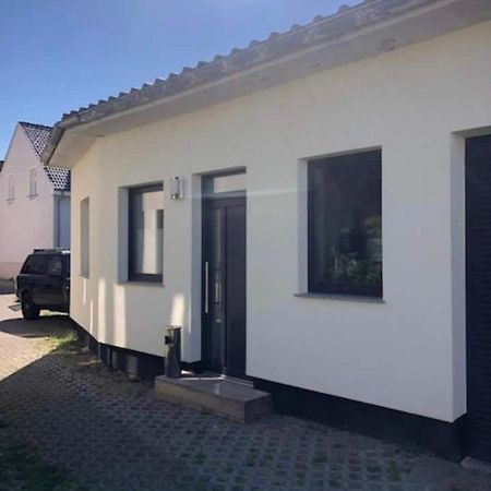 Ferienwohnung Zwergmoewe روستوك المظهر الخارجي الصورة