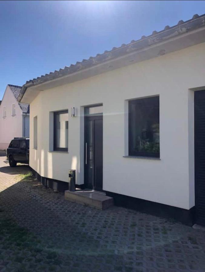 Ferienwohnung Zwergmoewe روستوك المظهر الخارجي الصورة